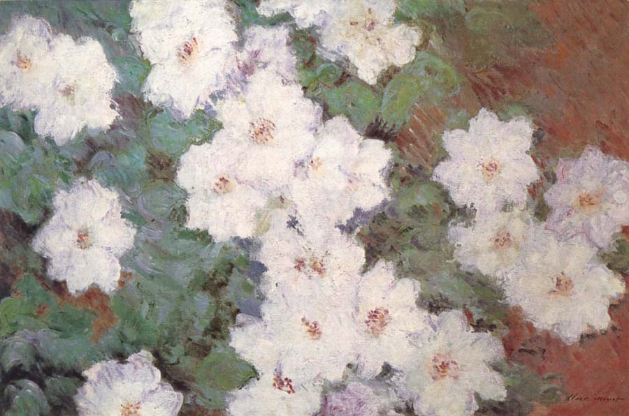 Claude Monet Clematis